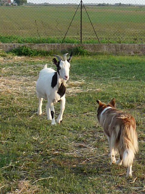 Valle Rillo Agriturismo Villa Comacchio Dış mekan fotoğraf