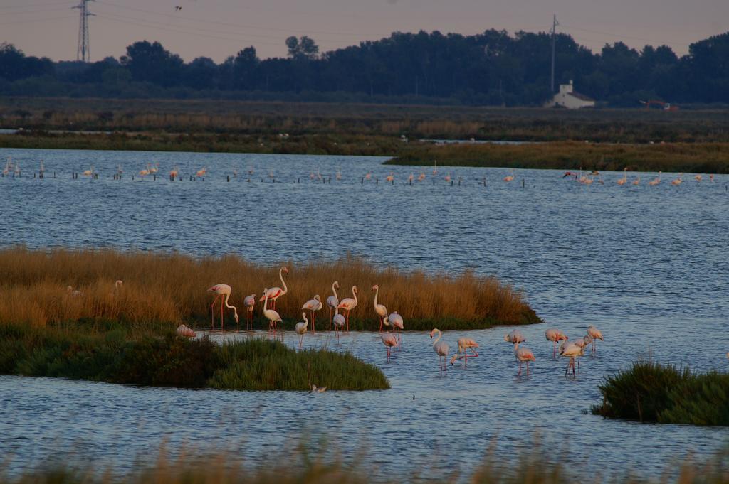 Valle Rillo Agriturismo Villa Comacchio Dış mekan fotoğraf