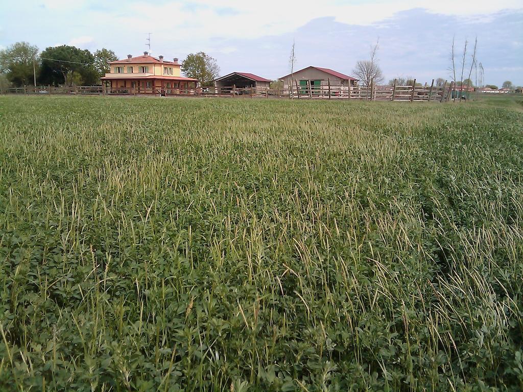 Valle Rillo Agriturismo Villa Comacchio Dış mekan fotoğraf